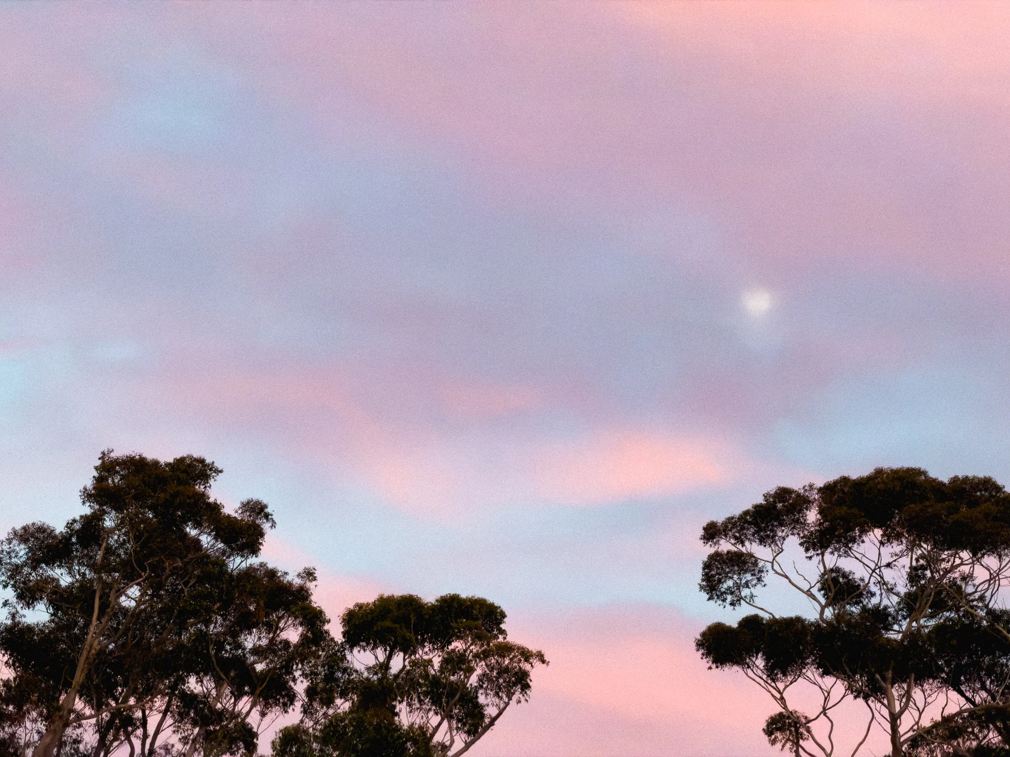 Pink Sky